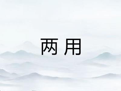 两用