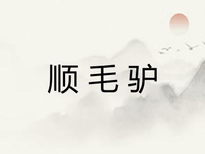 顺毛驴