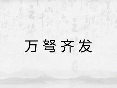 万弩齐发