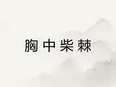 胸中柴棘