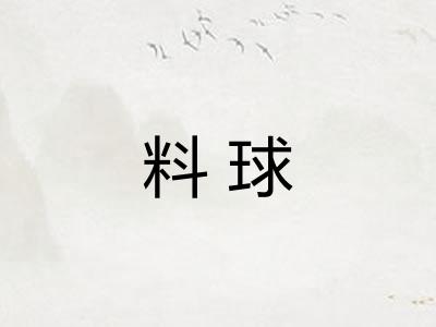 料球