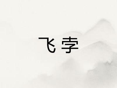 飞孛