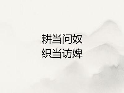 耕当问奴织当访婢