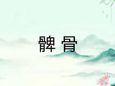 髀骨