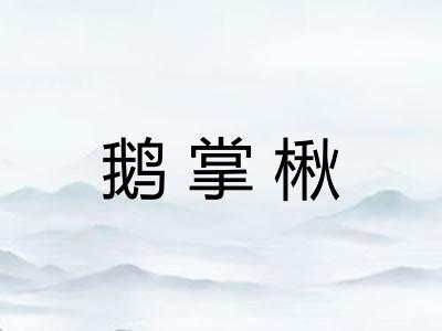 鹅掌楸