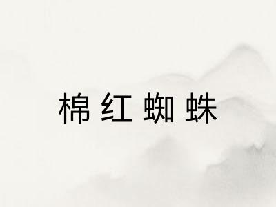 棉红蜘蛛