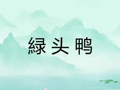 緑头鸭