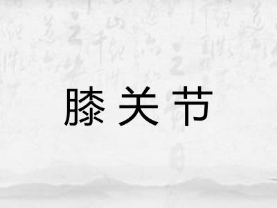 膝关节
