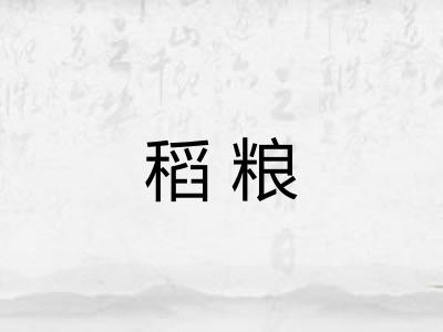 稻粮