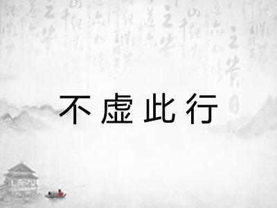 不虚此行