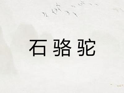 石骆驼