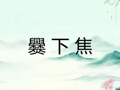爨下焦