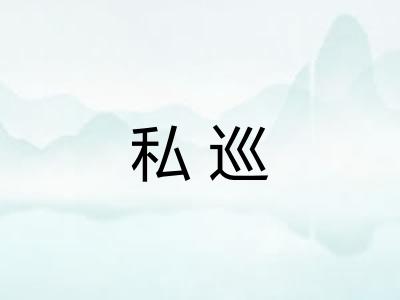 私巡