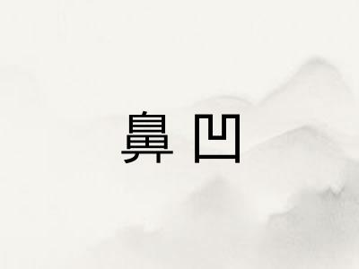 鼻凹