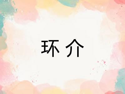 环介