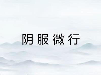 阴服微行