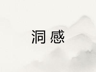 洞感