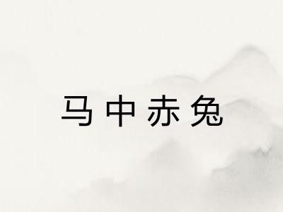 马中赤兔