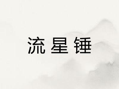 流星锤