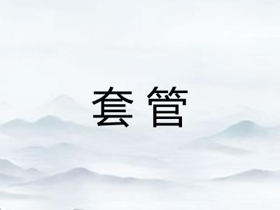 套管