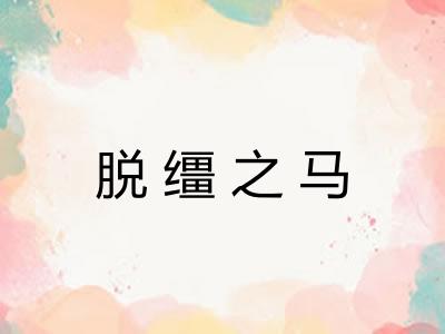 脱缰之马