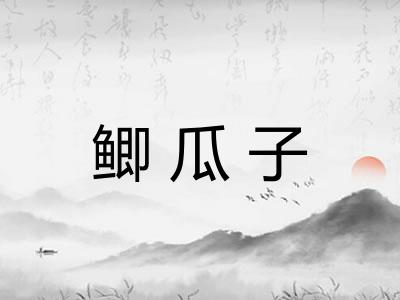 鲫瓜子