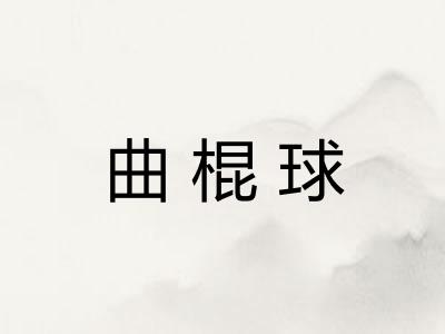 曲棍球