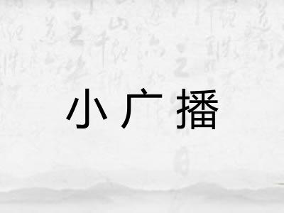 小广播