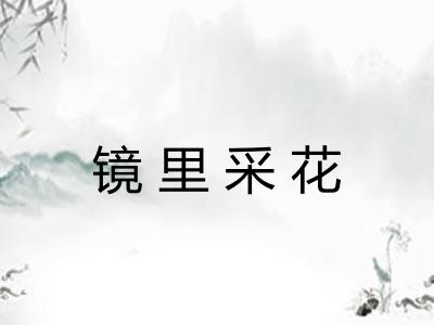 镜里采花