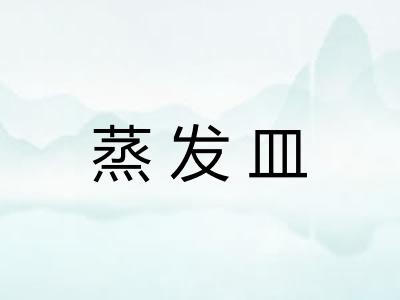 蒸发皿