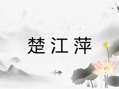 楚江萍