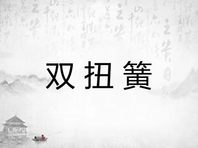 双扭簧