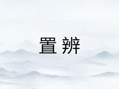 置辨