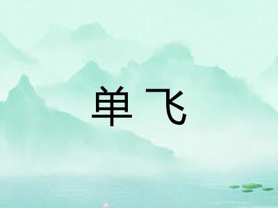 单飞