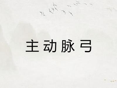 主动脉弓