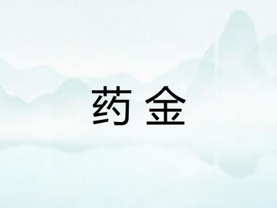 药金