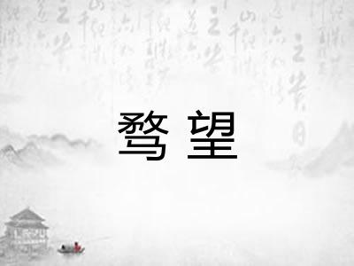骛望