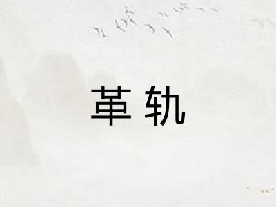 革轨