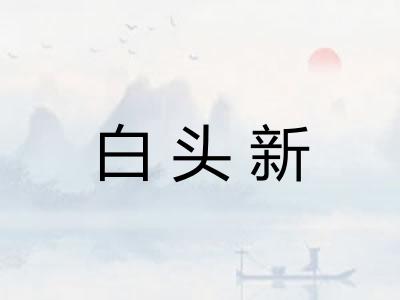 白头新