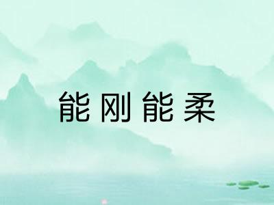 能刚能柔