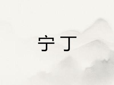 宁丁
