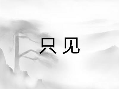 只见