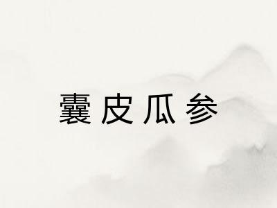 囊皮瓜参