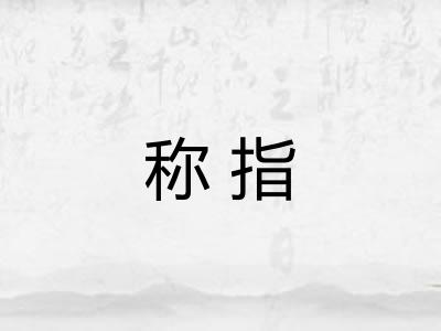 称指
