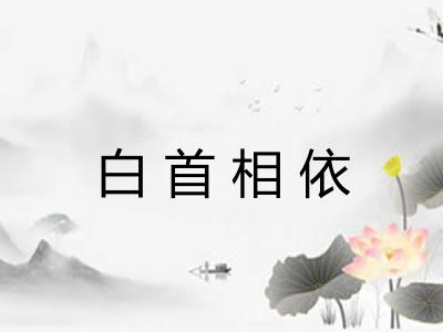 白首相依