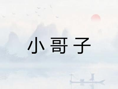 小哥子