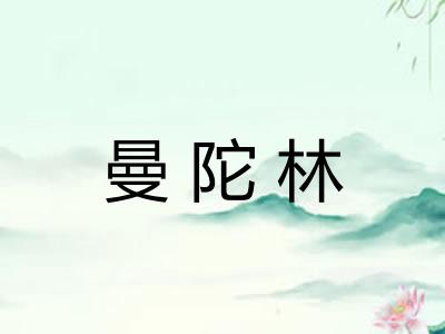 曼陀林