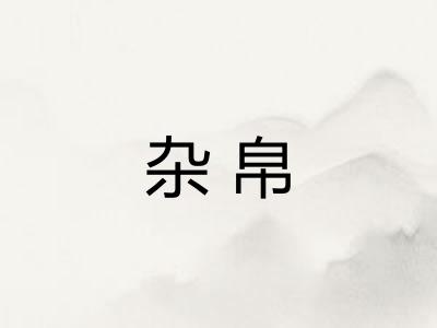 杂帛