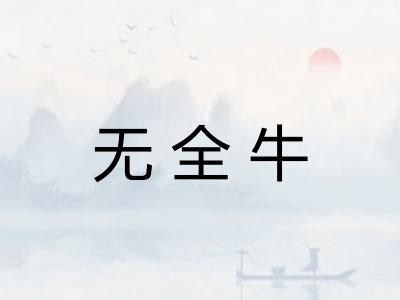 无全牛