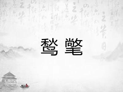 鹙氅